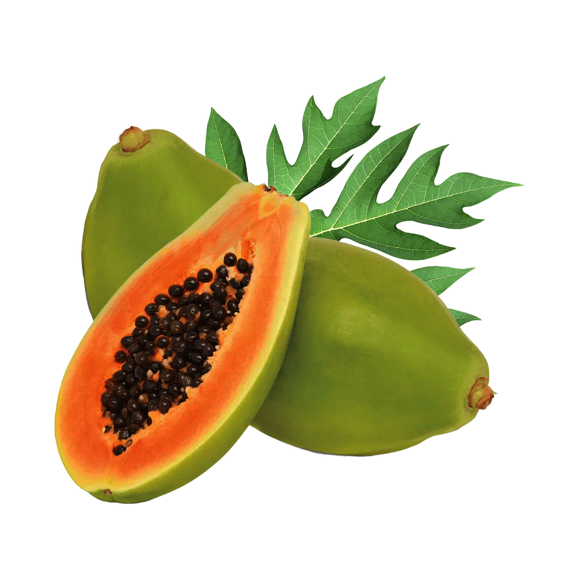 Fresh Papaya (Solo)