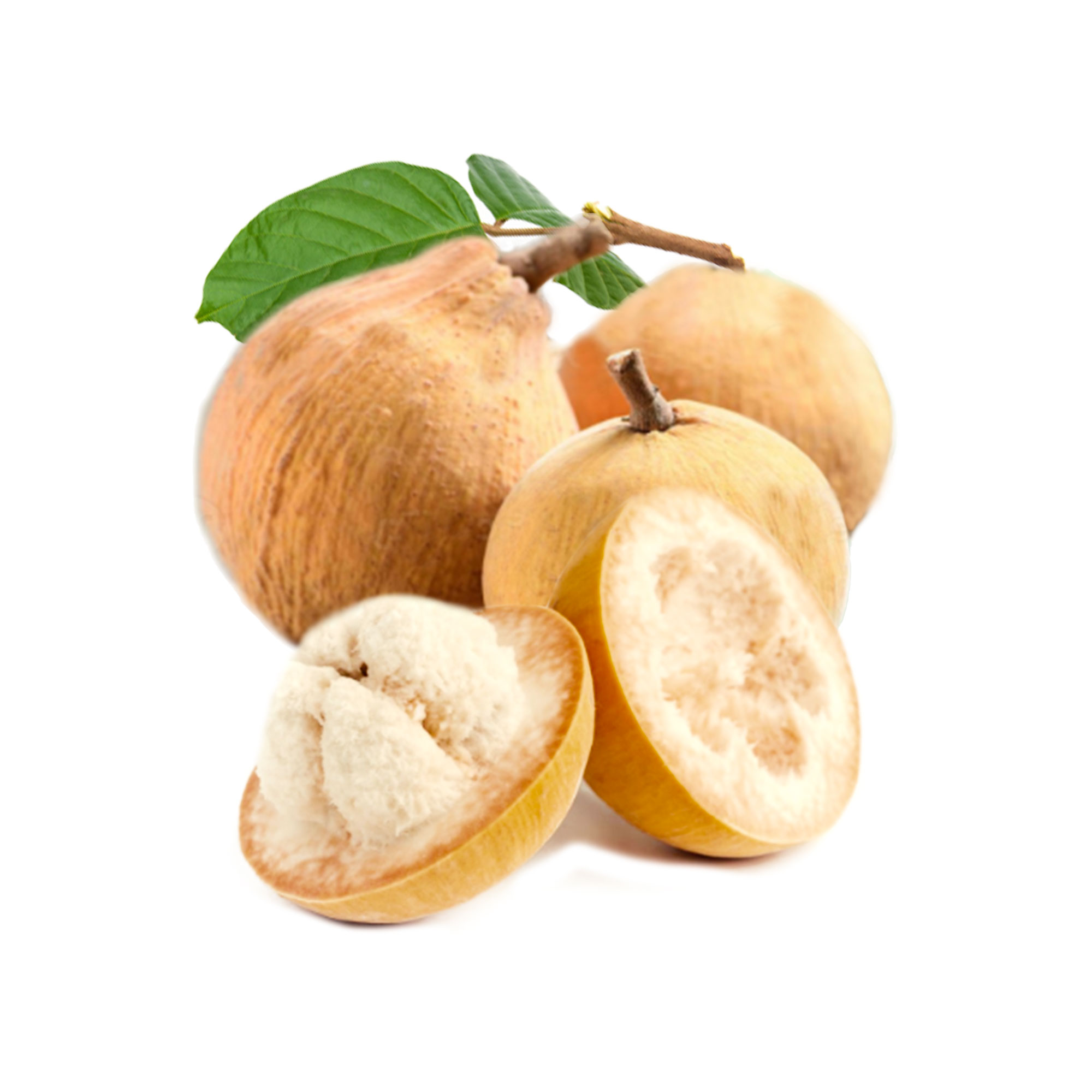 Fresh Cotton Fruit (Santol)