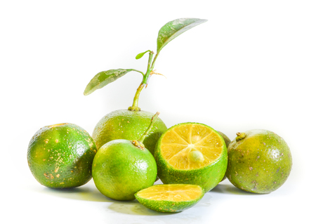 Fresh Calamansi