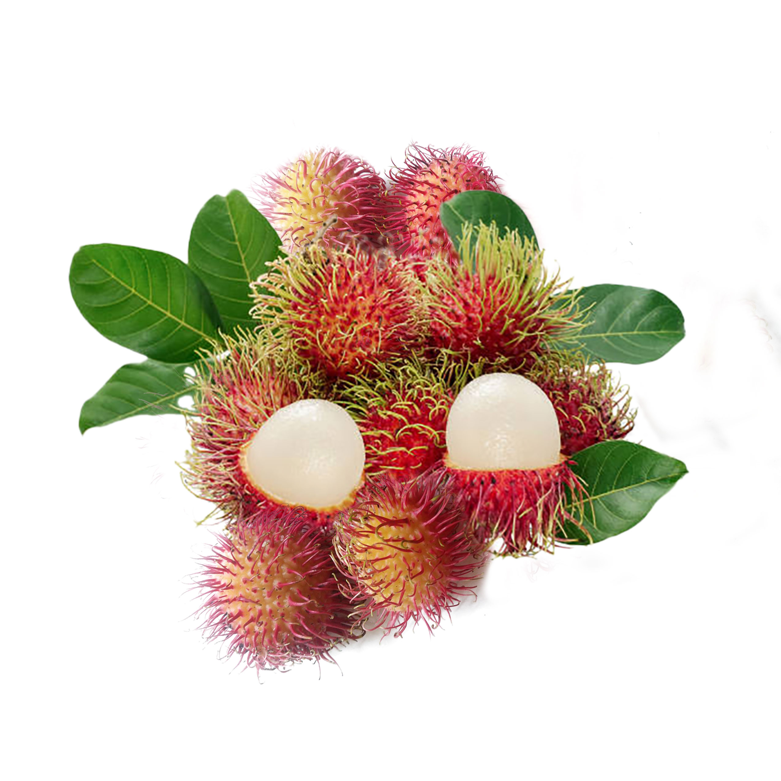 Fresh Rambutan