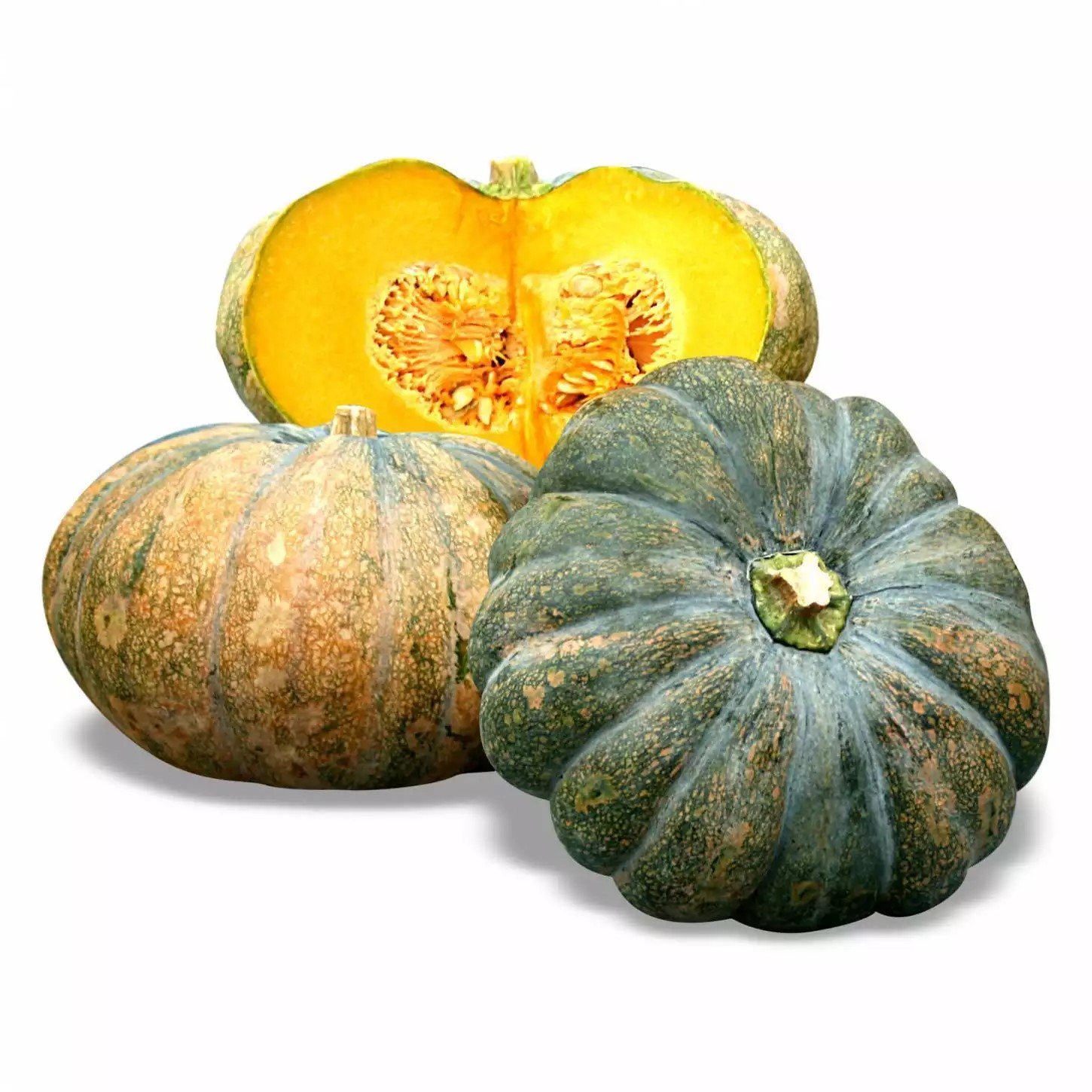 Fresh Squash